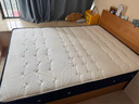 穗宝（SYMBOL）乳胶床垫椰棕床垫弹簧床垫东方梦舒脊京仓闪发1.5*2米软硬适中 实拍图