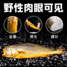三都港【冰鲜】三去野驯黄花鱼净重1100g/2条 黄鱼 源头直发 实拍图