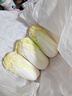 【超市品质】新鲜精品娃娃菜现砍现发小包装新鲜蔬菜生鲜产地直发 新鲜娃娃菜1*(3棵)*4包 实拍图
