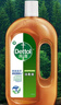 滴露（Dettol）洗衣消毒液衣物消毒水750mL除螨 家居地板杀菌 非84松木香 实拍图