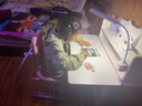 益威（EIEV）儿童学习桌椅套装作业学习桌学习椅书桌椅小学生可升降写字桌课桌 豪华收纳书桌+双背正姿椅+台灯粉 实拍图