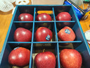 京鲜生 Mr Apple新西兰Dazzle丹烁苹果9粒特级果190-230g水果礼盒 实拍图