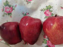 味果生甘肃天水花牛苹果应季新鲜水果刮泥粉面宝宝辅食蛇苹果整箱送礼 5斤特大果【85-90mm】净重4.5斤 实拍图