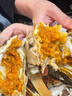【活蟹】阳澄清歆大闸蟹 鲜活特大螃蟹公蟹母蟹 海鲜水产年货礼盒 公4.0-4.3两母3.0-3.3两 5对十只 实拍图