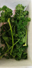 绿食者新鲜荷兰芹250g 法国香菜 旱芹菜 新鲜蔬菜 西餐火锅摆盘装饰材料 250g 实拍图