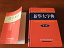 新华大字典套装（共2册）新华大字典 汉字部首字典 2024年6月京东独家销售图书 实拍图