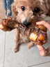 疯狂小狗宠物狗狗零食磨牙牛骨头泰迪比熊小型犬洁齿耐 鸭肉绕牛棒骨 90g 实拍图