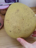 宜昌红心蜜柚新鲜水果柚子 红心蜜柚2-3斤（1枚装） 实拍图