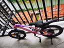 凤凰儿童山地自行车5-8-12-18岁青少年男女孩碟刹减震变速18寸粉色 实拍图