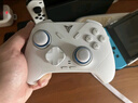 飞智冰原狼4多模版无线游戏手柄 类xbox 力调节摇杆双切扳机 switch电脑PC手机steam体感NS 丝之歌 实拍图