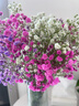 爱满（AIMAN）满天星天然干花花束ins网红生日 新房装饰摆件风干真插花家居摆设 白+紫+桃红满天星  【不带花瓶】 实拍图
