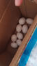 正宗农家散养新鲜散养鸽子蛋现捡现发孕妇宝宝辅食 农家谷饲鸽子蛋【10枚】 实拍图
