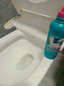 威利达洁厕灵除垢去渍黄马桶清洁剂液洗厕所神器强力去异味去尿渍 【去污】500g*1瓶 实拍图