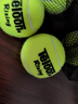 天龙（Teloon）网球训练球进阶初学专业比赛网球耐磨 Rising中级-散装5个 送便携网袋 实拍图