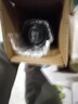 张裕特选级赤霞珠干红葡萄酒750ml圆筒装国产红酒自营自饮送礼 实拍图