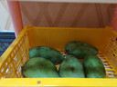 广西芒果应季芒果产地直发半黄微花皮发货（全国多仓发货） 带箱5斤装【单果100g+】 实拍图