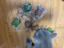阿柴与猫猫咪玩具鱼骨头木天蓼猫薄荷磨牙棒仿真鱼磨牙耐咬自嗨解闷逗猫棒 实拍图