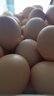 苏北草鸡蛋60枚破损包赔农家散养土鸡蛋早餐溏心蛋买菜京东包邮 苏北草鸡蛋60枚3kg破损包赔 实拍图