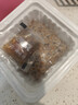 燕京大粒纳豆 50g*18盒（原箱纳豆 国产纳豆 健康轻食 豆制品） 实拍图