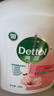 滴露（Dettol）洗手液消毒抑菌滋润500g+500g补充装儿童家庭护手替换 实拍图