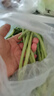 【超市品质】新鲜农家长豆角豇豆角腌制泡菜早餐生鲜蔬菜豆角子 产地直发现摘 5斤 实拍图