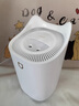 DIKTT德国加湿器家用卧室空气净化器一体机鼻炎专用加水4L大容量便携式小型宿舍卧室办公室客厅床头空气 【升级款2L粉色】多重杀菌-轻音加湿 180mL/h 【母婴可用】 实拍图