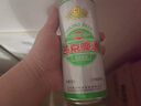 燕京啤酒 精品11度拉格啤酒500ml*12听 双十一热卖 整箱装 实拍图