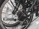 大行（DAHON） 折叠自行车20英寸铝合金轻便6速通勤单车冠特 KBA061绿色 实拍图