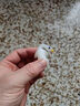 变色烤鸭车载汽车挂件创意后视镜鸭子挂饰车载网红可爱车内装饰 随机款1个装 实拍图