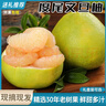 闽农语果正宗福建度尾文旦柚现摘当季新鲜柚子过节礼盒送礼红心蜜柚子 单果约1.3斤丨10斤高性价比丨网袋装 团购/售后详询客服 实拍图