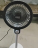 扬子电风扇空气循环扇落地家用卧室客厅宿舍台式桌面电扇 机械款-不摇头 实拍图