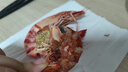北海湾 九节虾干 特大即食烤虾干大对虾干斑节虾干海产干货风干A2大烤虾 特大号九节虾干【约30只】净重500g 实拍图