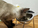 HELLOJOY猫碗狗碗304不锈钢猫食盆防打翻猫咪喝水碗保护颈椎增高宠物饭碗 实拍图