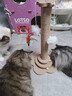 HELLOJOY猫抓柱剑麻猫抓板猫玩具耐抓耐磨不掉屑猫爬架立式自嗨解闷用品 实拍图