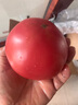 京鲜生＆绿行者（GREER）粉番茄净重4.5斤单果100g+约12-18枚 源头直发 实拍图
