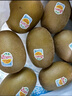佳沛（zespri）新西兰  阳光金奇异果10粒礼盒巨大果单果约144-175g 水果 猕猴桃 实拍图