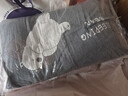 金号纯棉枕套 7A抗菌全棉枕头套防螨学生宿舍枕芯套玩趣熊48*74cm单只 实拍图