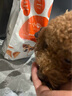 凡可奇小安心狗粮羊奶鲜肉泰迪柯基幼犬全犬种通用小狗奶糕粮2.5kg 实拍图