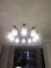 雷士（NVC） 新中式吊灯古典大气客厅大灯餐厅灯现代中式灯具灯饰全屋套餐 苍松迎客10头吊灯【需另购灯泡】 实拍图