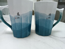 景德镇（jdz）官方陶瓷情侣对杯中式大容量马克杯茶杯一对喝水杯送礼生日礼物 高山流水-熏风对杯 实拍图