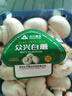 【绿色认证】鲜美白蘑菇230g 实拍图