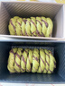 新良原味面包粉10斤装 高筋面粉 烘焙原料 手撕面包机用小麦粉 实拍图