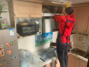 京东家政清洗 家用抽油烟机免拆洗 家电清洗上门服务清洁保养保洁 实拍图