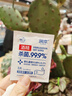 润本（RUNBEN）酒精棉片消毒杀菌湿巾10片×10盒(100片)一次性湿纸巾独立包装 实拍图