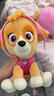 汪汪队立大功（PAW PATROL）汪汪队玩具毛绒全套狗狗玩偶公仔男女孩玩具旺旺队圣诞礼物 经典款-天天公仔【需选尺寸】 中号-坐或站高约17~22.9CM 实拍图