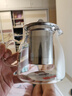 金灶（KAMJOVE）泡茶壶飘逸杯 耐热玻璃茶具功夫办公室花茶壶 茶水分离杯茶壶家用 A-02 500ml 实拍图