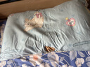 博洋家纺学生宿舍枕芯透气柔软儿童枕芯学生枕头单只装46*65cm大款 实拍图