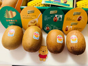 佳沛（zespri）新西兰 阳光金奇异果12粒礼盒特大果单果约122-146g 猕猴桃 水果 实拍图