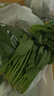 【24小时菜】菠菜苗400g(长度≤20cm) 实拍图