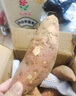 京鲜生山东哈密冰糖薯白薯净重9斤单果150g+家庭装口感细腻源头直发 实拍图